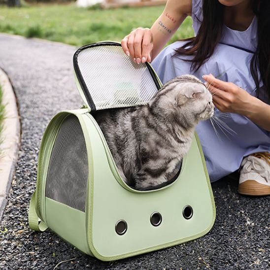 Sac à dos chat vert avec chat tigré à l'intérieur et fenêtre mesh ouverte