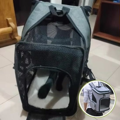 Sac à dos chat fenêtre.