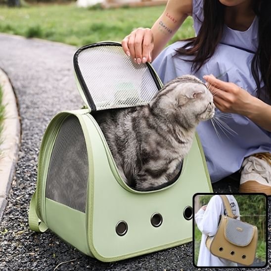 Sac à dos chat vert menthe avec chat confortablement installé