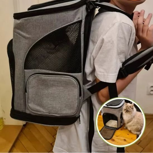 Sac à dos chat en utilisation avec chat confortablement installé"