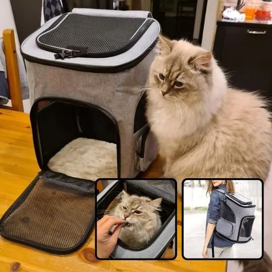 "Sac à dos chat avec ventilation mesh et chat confortablement installé"