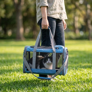 Sac de transport pour chat bleu porté à la main, chat noir et blanc visible dans un parc