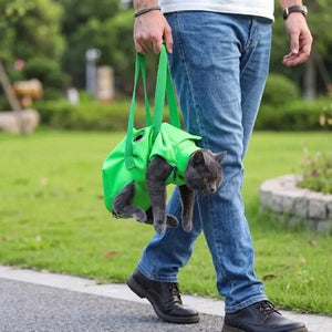 Sac de transport pour chat vert, homme portant un chat gris