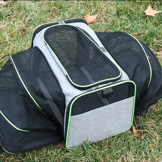 Sac Transport chat extensible déployé sur l'herbe, liseré vert