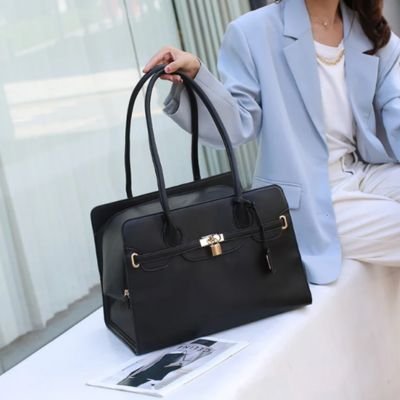 Sac transport chat noir luxe avec cadenas doré 