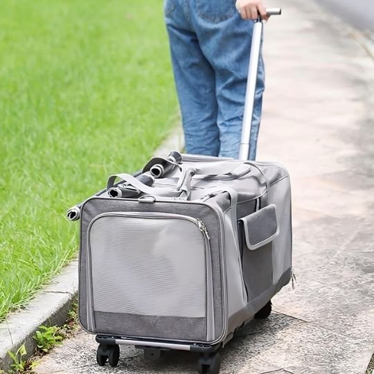 Sac de transport à roulettes pour chat gris en extérieur