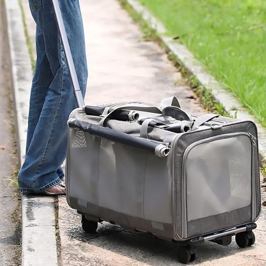Sac de transport à roulettes pour chat avec poignée télescopique"