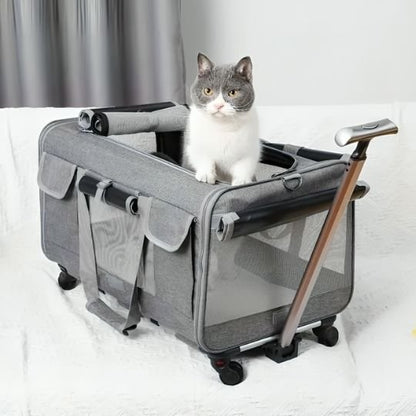 Chat dans sac de transport à roulettes avec panneaux mesh