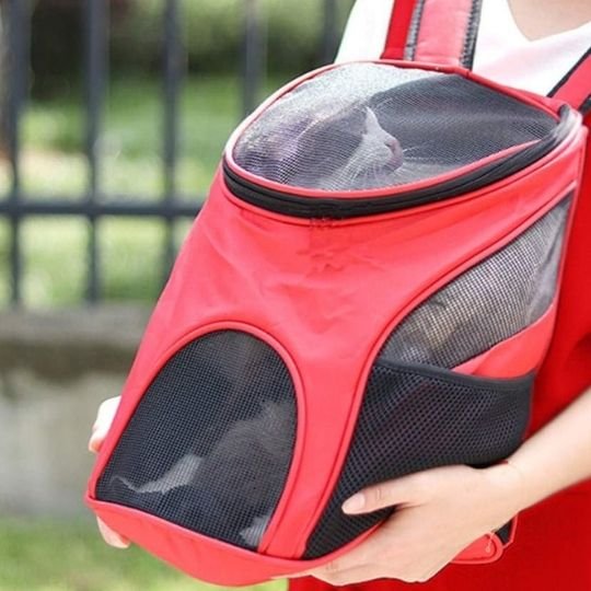 Sac transport frontal chat rouge mesh fenêtre ventilée avec chat blanc dedans