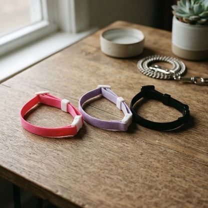 Trois colliers pour chaton, rose, violet et noir, posés sur une table en bois